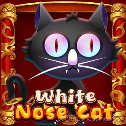 White Nose Cat